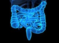L-glutamine may alter gut microbiota to resemble changes seen in weight loss programs