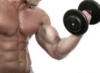 Good and not so good exercises for your biceps
