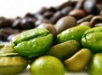 Researchers explore the functional potential of green coffee beans