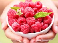Raspberry Ketone: Lose Weight and Strengthen Your Bones at the Same Time