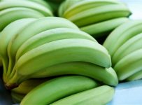 Banana Starch, a Natural Resistant Starch That May Help Obese + Lean Alike Get & Stay Lean & Insulin Sensitive