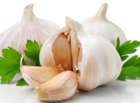 Garlic makes running healthier