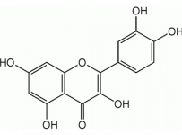 Test-tube study: quercetin undermines functioning of estradiol