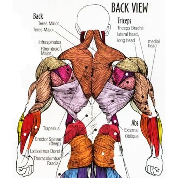 What You Can’t See In The Mirror Can Hurt You – 7 Most Common Back