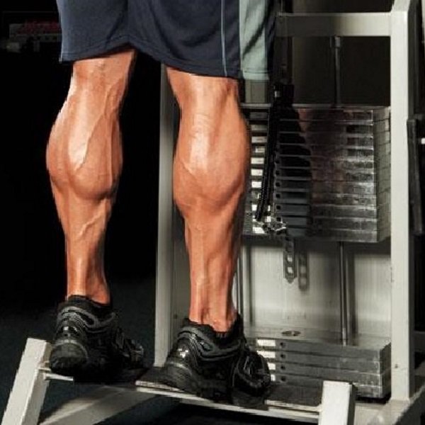 3 Best Exercises to Build Massive Calves - XbodyConcepts