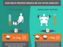 HOW MUCH PROTEIN YOU NEED AFTER A WORKOUT
