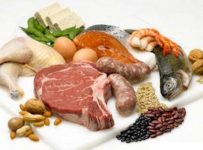 The Best Protein Sources